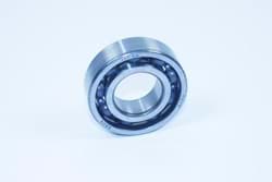 Picture of [OT] Inner rear axle bearing. #6205.
