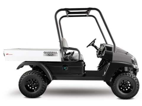 Picture of 2009-2011 - Club Car - Carryall 295 Homologated - D (103472620+)